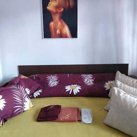 Apartament Geo Nehoiu Εξωτερικό φωτογραφία