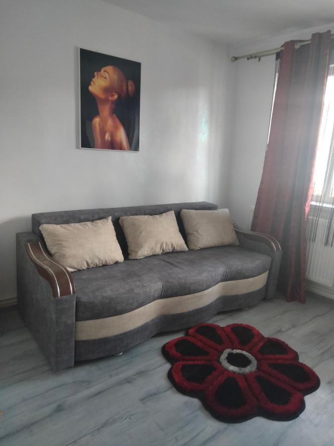 Apartament Geo Nehoiu Εξωτερικό φωτογραφία