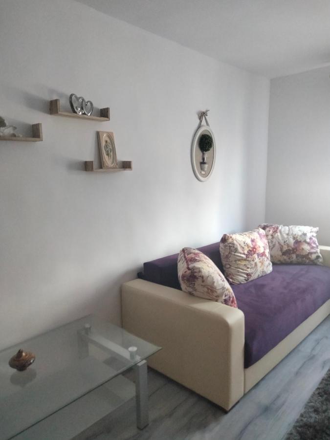 Apartament Geo Nehoiu Εξωτερικό φωτογραφία