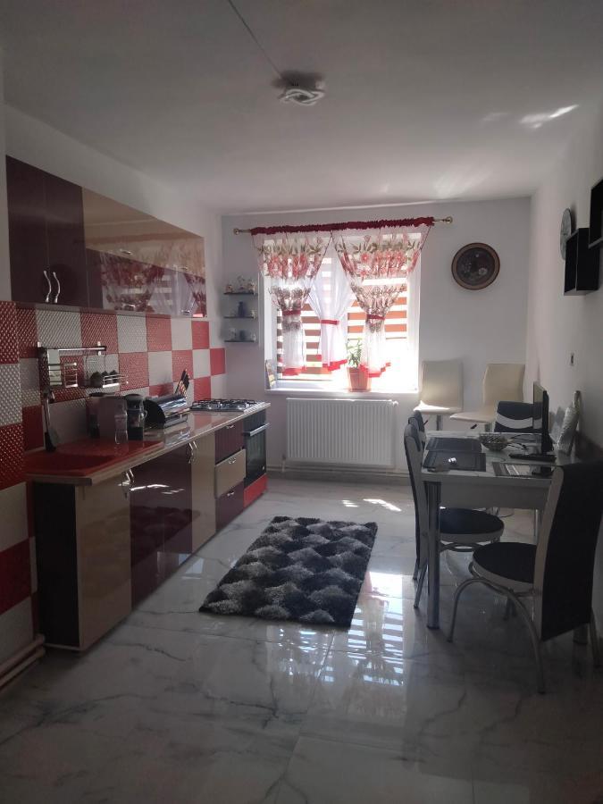 Apartament Geo Nehoiu Εξωτερικό φωτογραφία