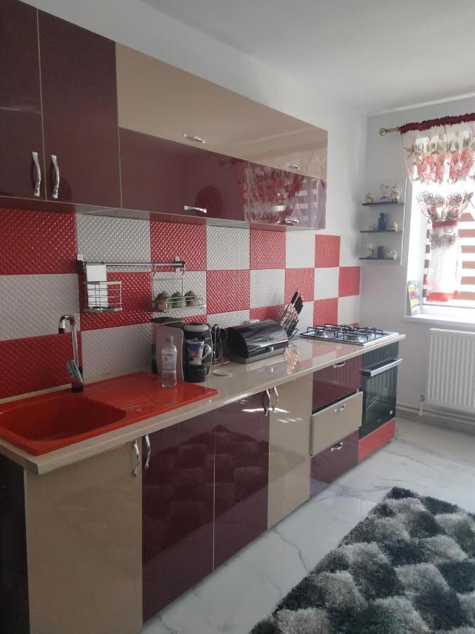 Apartament Geo Nehoiu Εξωτερικό φωτογραφία