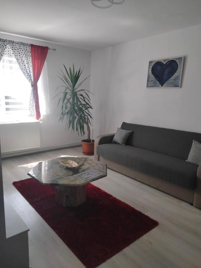 Apartament Geo Nehoiu Εξωτερικό φωτογραφία