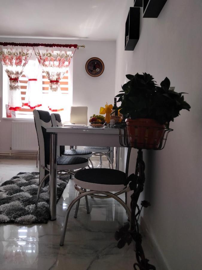 Apartament Geo Nehoiu Εξωτερικό φωτογραφία