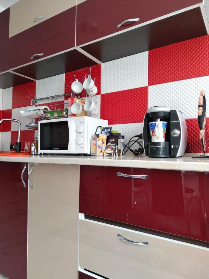 Apartament Geo Nehoiu Εξωτερικό φωτογραφία
