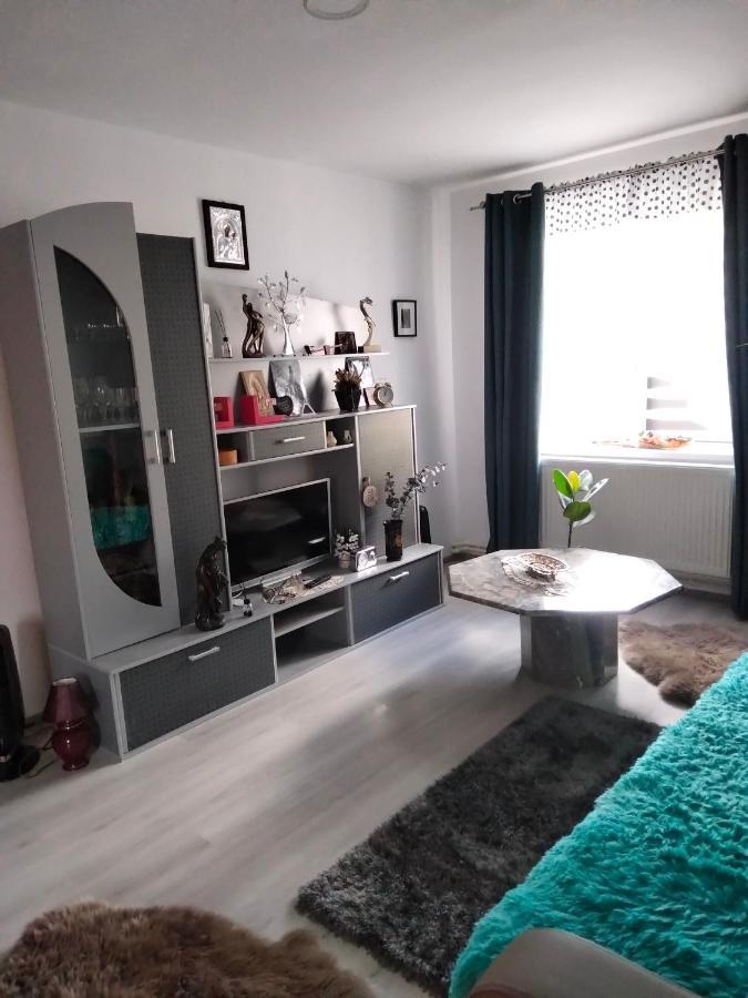 Apartament Geo Nehoiu Εξωτερικό φωτογραφία