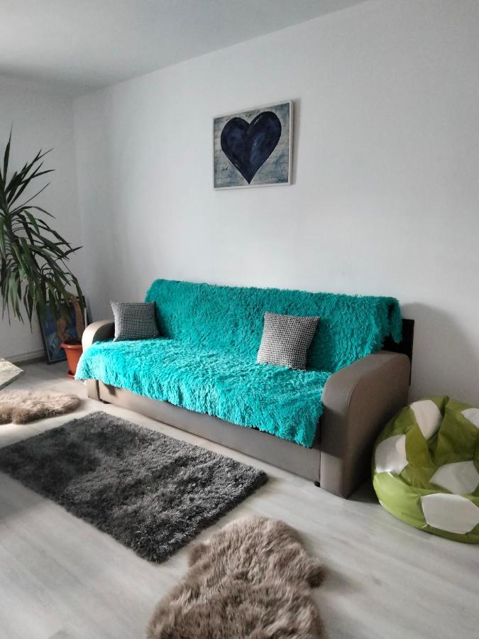 Apartament Geo Nehoiu Εξωτερικό φωτογραφία