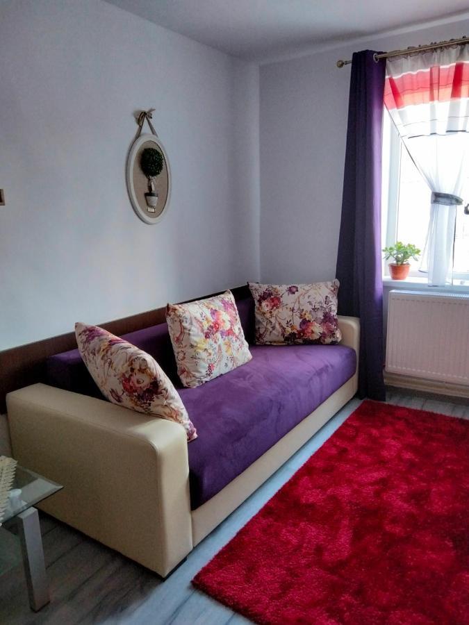 Apartament Geo Nehoiu Εξωτερικό φωτογραφία